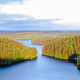 Repovesi, uno de los muchos parques nacionales en Finlandia. Wikimedia Commons